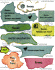 wpe29411.gif (43305 bytes)