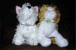 Collars for Webkinz